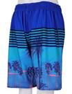 Vorschau: WAVEBREAKER Herren Badebermuda Shorts