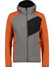 Vorschau: ICEPEAK Herren Funktionsjacke DANFORT