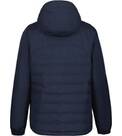 Vorschau: ICEPEAK Herren Jacke BARWICK