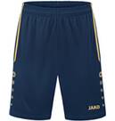 navy/gold