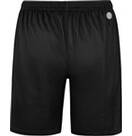 Vorschau: JAKO Herren Fanhose VfB Ausweich