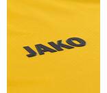 Vorschau: JAKO Herren Fantrikot Dynamo Dresden Trikot Home