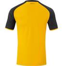 Vorschau: JAKO Herren Fantrikot Dynamo Dresden Trikot Home