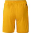 Vorschau: JAKO Herren Fanhose Dynamo Dresden Short Away