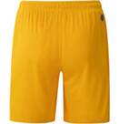 Vorschau: JAKO Kinder Fanhose Dynamo Dresden Short Away