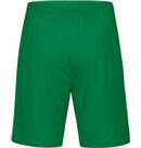 Vorschau: JAKO Herren Fanhose Dynamo Dresden TW Home
