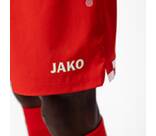 Vorschau: JAKO Herren Fanhose Mainz 05 Short Home
