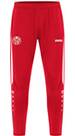 Vorschau: JAKO Herren Fanhose Mainz 05 Trainingshose Power