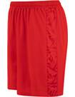 Vorschau: JAKO Herren Fanhose Rot-Weiss Essen Home