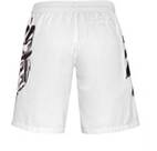 Vorschau: PLEIN SPORT Herren Shorts TIGER