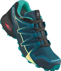 SALOMON Damen Schuhe SPEEDCROSS VARIO 2 GT online kaufen ...