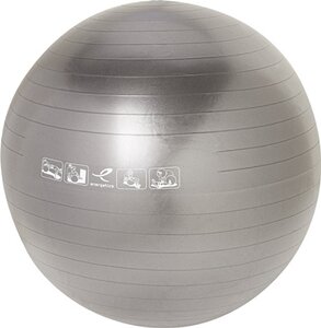ENERGETICS Gymnastik Ball / Physioball