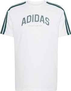 ADIDAS Herren Shirt Codes Collegiate Linear Graphic