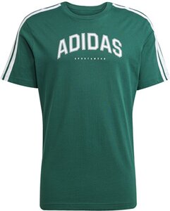 ADIDAS Herren Shirt Codes Collegiate Linear Graphic