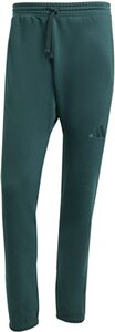 ADIDAS Herren Hose ALL SZN Regular Tapered