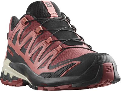 SALOMON Damen Trailrunningschuhe SHOES XA PRO 3D V9 GTX W Cohide/Black/Fa – Bild 5