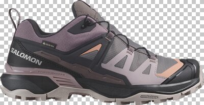 SALOMON Damen Multifunktionsschuhe SHOES X ULTRA 360 GTX W Pkiten/Phantm/Co