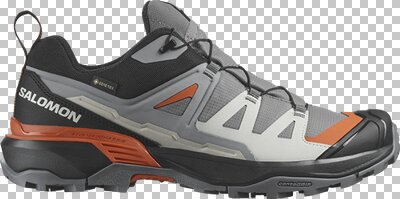 SALOMON Herren Multifunktionsschuhe SHOES X ULTRA 360 GTX QuSh/Black/Spirou