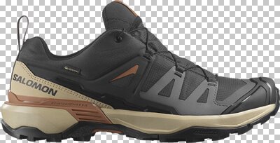 SALOMON Herren Multifunktionsschuhe SHOES X ULTRA 360 GTX Phantm/Sfari/Caram