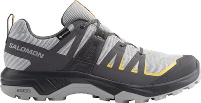 SALOMON Herren Multifunktionsschuhe SHOES EXTEND GTX Alloy/Asphalt/Spicym
