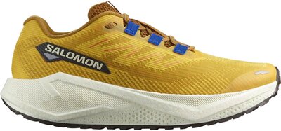 SALOMON Herren Laufschuhe SHOES AERO BLAZE 3 GRVL Spicym/Vanila/Na