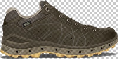 LOWA Herren Schuhe AERANO GTX LO online kaufen bei INTERSPORT!