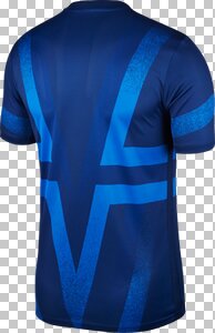 NIKE Herren Fanshirt Paris Saint-Germain online kaufen bei ...