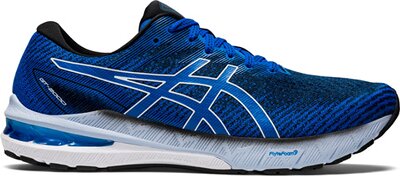 ASICS Herren Laufschuhe GT-2000 10