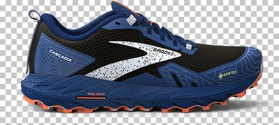 BROOKS Herren Trailrunningschuhe Cascadia 17 GTX