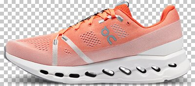 ON Herren Laufschuhe Cloudsurfer