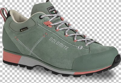 DOLOMITE Damen Multifunktionsschuhe DOL Shoe W's 54 Hike Low Evo Gtx "DOL Shoe W's 54 Hike Low Evo GTX"