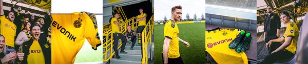 BVB 09 Markenbild