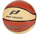 Vorschau: PRO TOUCH Basketball Harlem 300