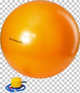 Physioball mit Pumpe 219 85