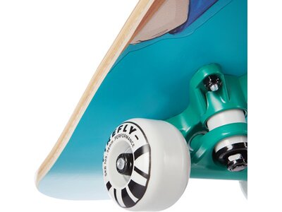 FIREFLY Skateboard SKB 105 Blau