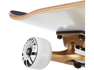 FIREFLY Skateboard SKB 505 Braun