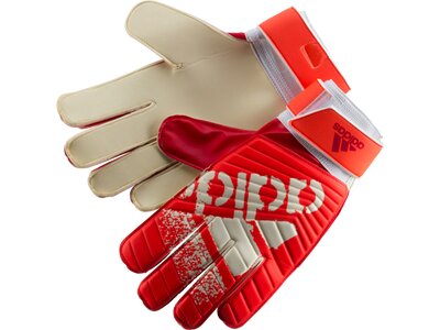 ADIDAS Herren Handschuhe X Training Rot