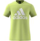 Vorschau: adidas Herren Logo Tee Sportmode T-Shirt