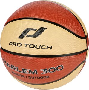 Basketball Harlem 300 900 7