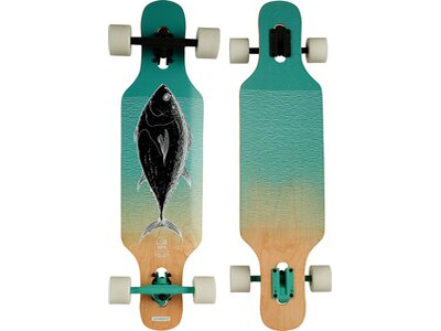 FIREFLY Skateboard LGB 105 Silber