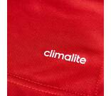 Vorschau: ADIDAS Herren Poloshirt Core 15 Climalite