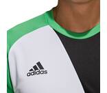 Vorschau: ADIDAS Fußball - Teamsport Textil - Torwarttrikots Assita 17 Torwarttrikot