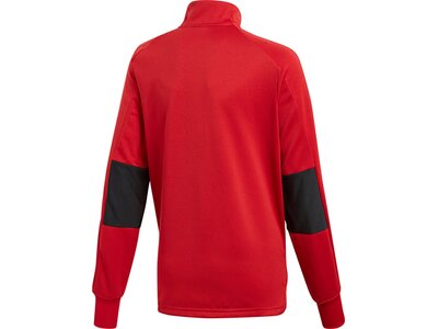 ADIDAS Kinder Sweatshirt CON18 TR TOP2 Rot