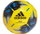Vorschau: ADIDAS Herren Team Junior Sala 350 Ball