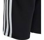 Vorschau: ADIDAS Fußball - Teamsport Textil - Hosen Tiro 19 3/4 Pant Kids