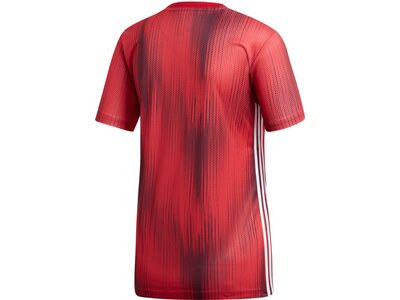 ADIDAS Fußball - Teamsport Textil - Trikots Tiro 19 Trikot kurzarm Damen Rot