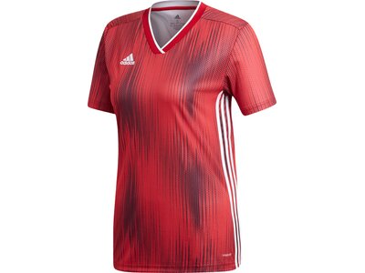 ADIDAS Fußball - Teamsport Textil - Trikots Tiro 19 Trikot kurzarm Damen Rot