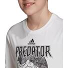 Vorschau: ADIDAS Kinder T-Shirt Predator Urban