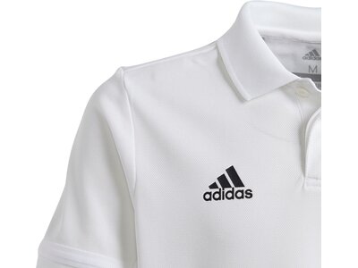 ADIDAS Fußball - Teamsport Textil - Poloshirts Team 19 Poloshirt Kids Weiß