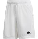 Vorschau: ADIDAS Fußball - Teamsport Textil - Shorts Team 19 Knitted Short Damen